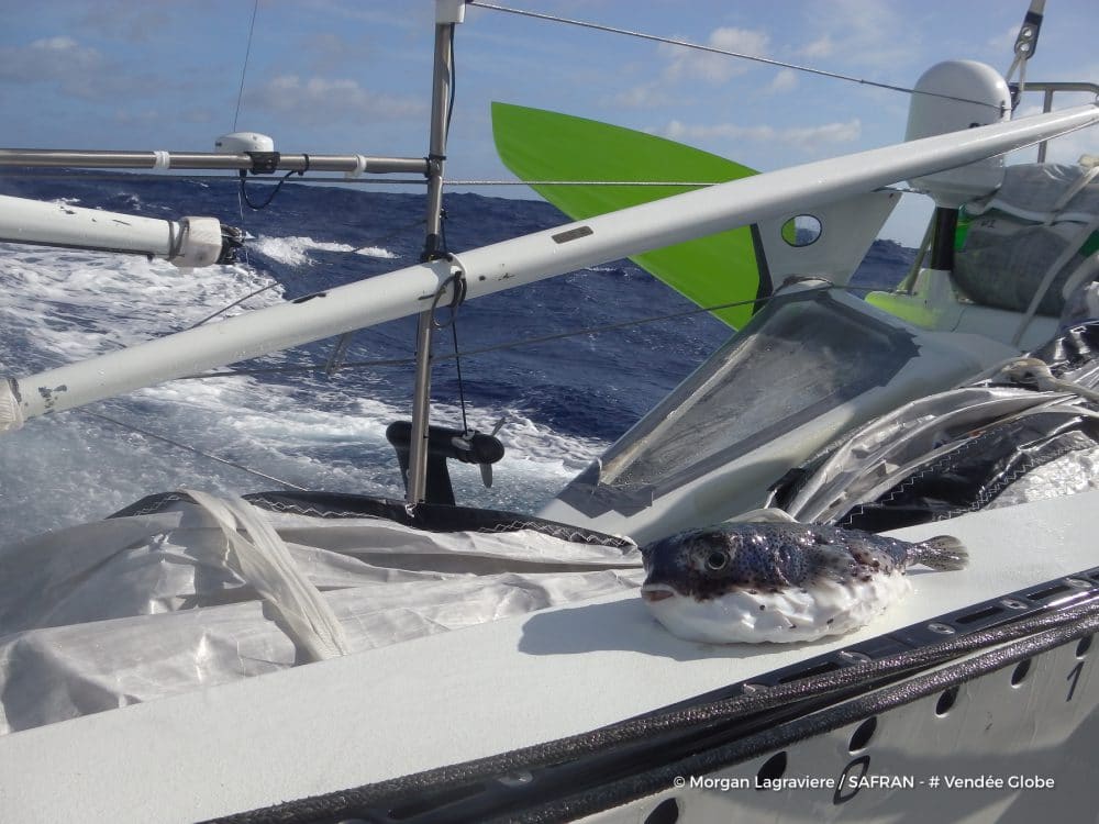 voile, tour du monde, ambiances, large, offshore, race, course, photographes skippers